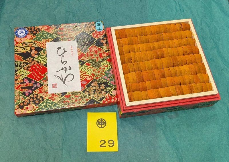 B6 平川赤400gSP29番/北方四島産