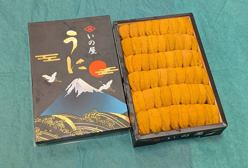 B9 いのや黄色並びSP/北方四島産