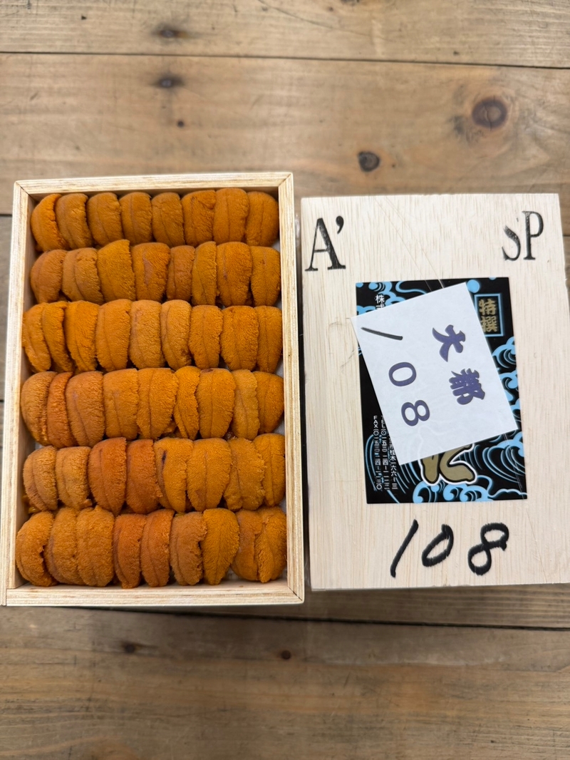 C5石田
ロシア赤上並び