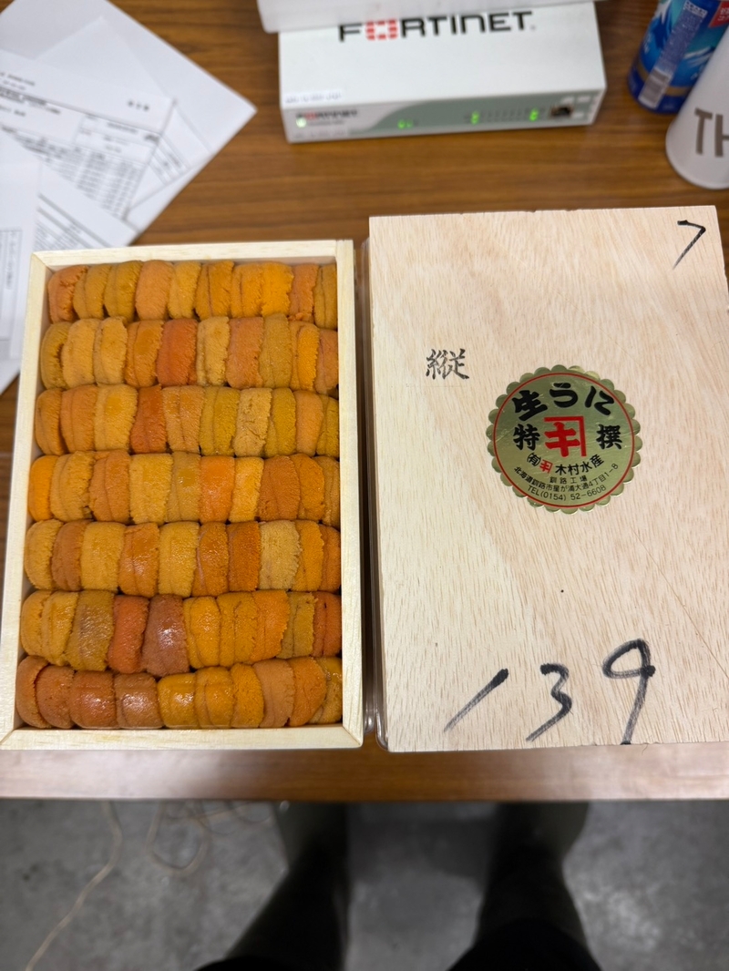 C6カネキ
ロシア黄上並び