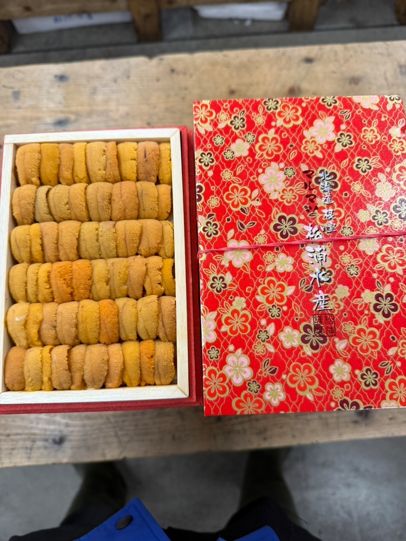 C8松浦SP
ロシア黄上並び