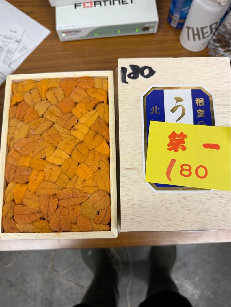 C9丸一丸勢
ロシア黄上バラ